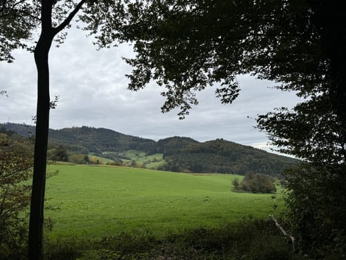 Von Freiburg über die Zähringer Burg nach Wildtal