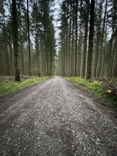 Sulgen, Kaltbrunnenbach, und Eisenbahn