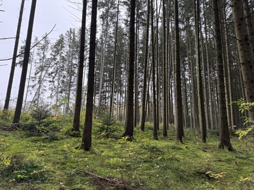 Sulgen, Kaltbrunnenbach, und Eisenbahn