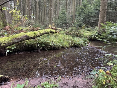 Sulgen, Kaltbrunnenbach, und Eisenbahn