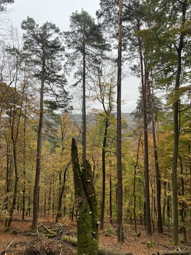 Stüterhof und Weltachs Rundweg