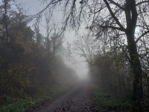 Über den Selsberg