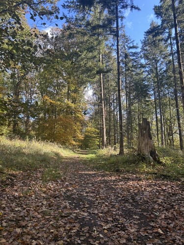 Möhnesee - Jagdschloss Sankt Meinolf - Hevesee