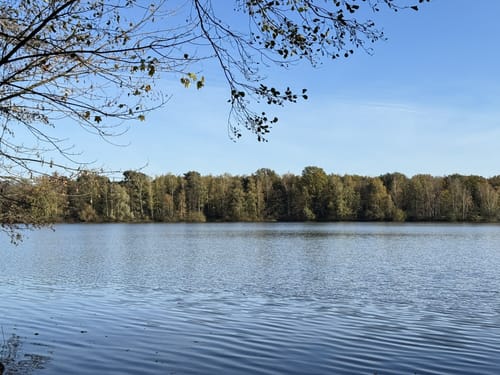 Sechs-Seen-Platte: Rund um den Wolfssee