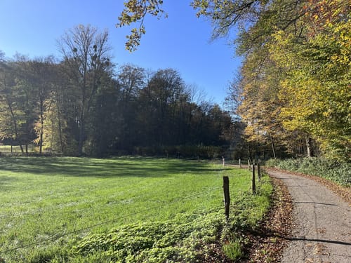 Runde im Oefter Wald