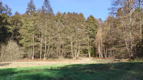 Wanderlehrpfad um den Wernsdorfer See