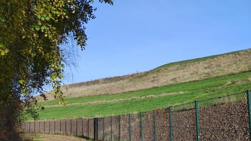 Wanderlehrpfad um den Wernsdorfer See