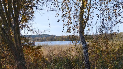 Wanderlehrpfad um den Wernsdorfer See
