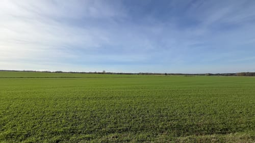Groß Kölzig in den Mühlbusch