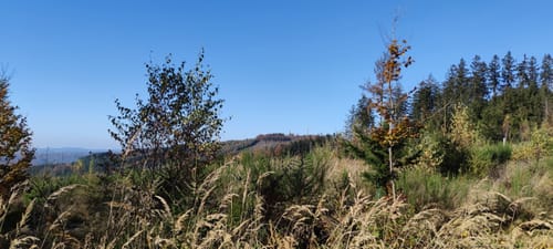 Dahlbruch - Martinshardt Rundwanderung
