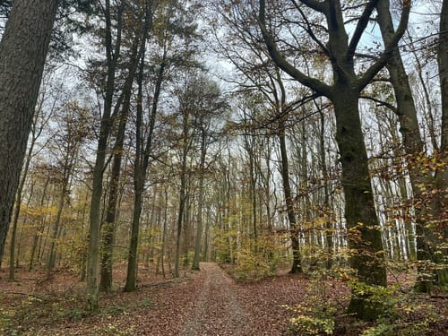 Rundwanderweg Potsdamer Platz 1: Eichelberg-Weg