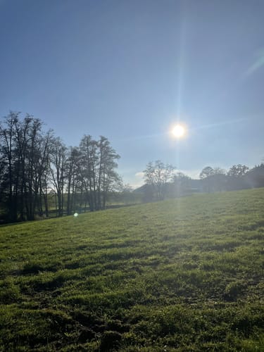 Wanderweg W7: Von Egg übers Milchwegle ins Pfaumoos und Maiertal
