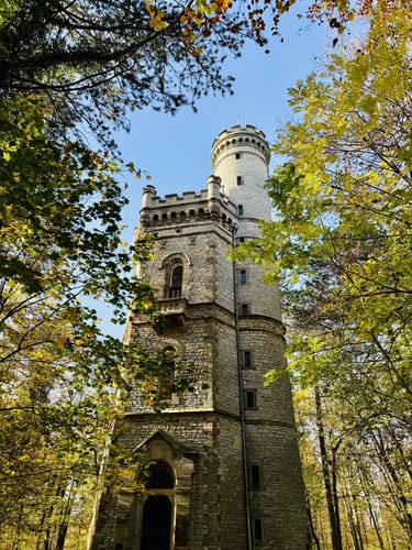 Stadtwald Göttingen: Wildgehege Damwild - Bismarckturm
