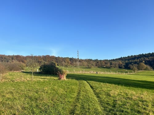 Triasfenster ab Kellereiberg
