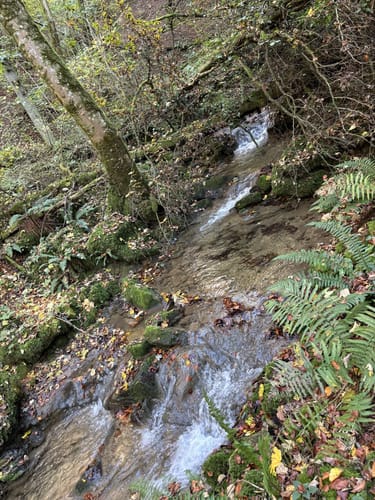 Wanderweg Nr. 70: Wintersdorf-Olk
