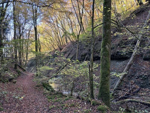 Wanderweg Nr. 70: Wintersdorf-Olk