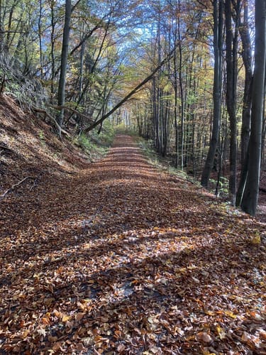 Naturerlebnis Schlangenweg