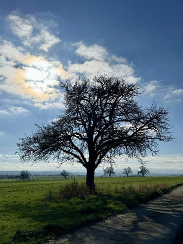 Von Gindorf zum Dudeldorf