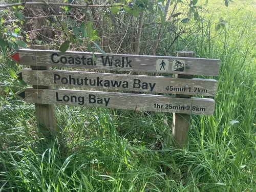 Long bay walking track best sale