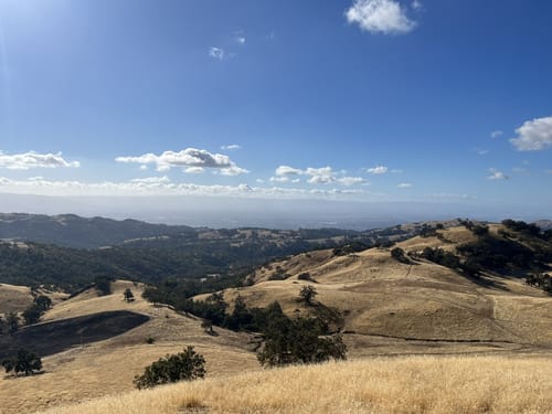 10 Best hikes and trails in Joseph D Grant County Park | AllTrails