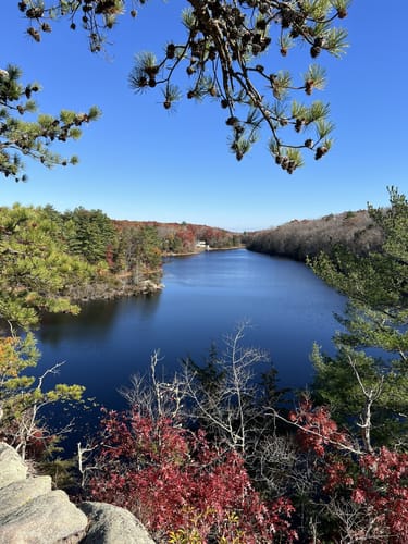 Photos of Long Pond Woods Trail Rhode Island AllTrails