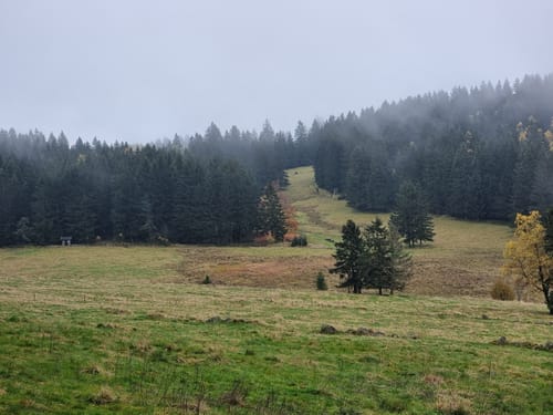 Rundweg Nr. 5: Großer Hermannsberg