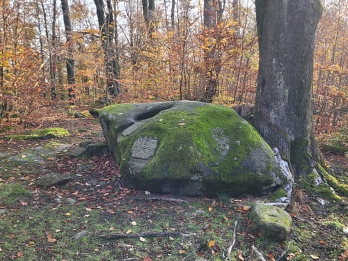 Bischofswerdaer heimatkundliche Wanderung 37
