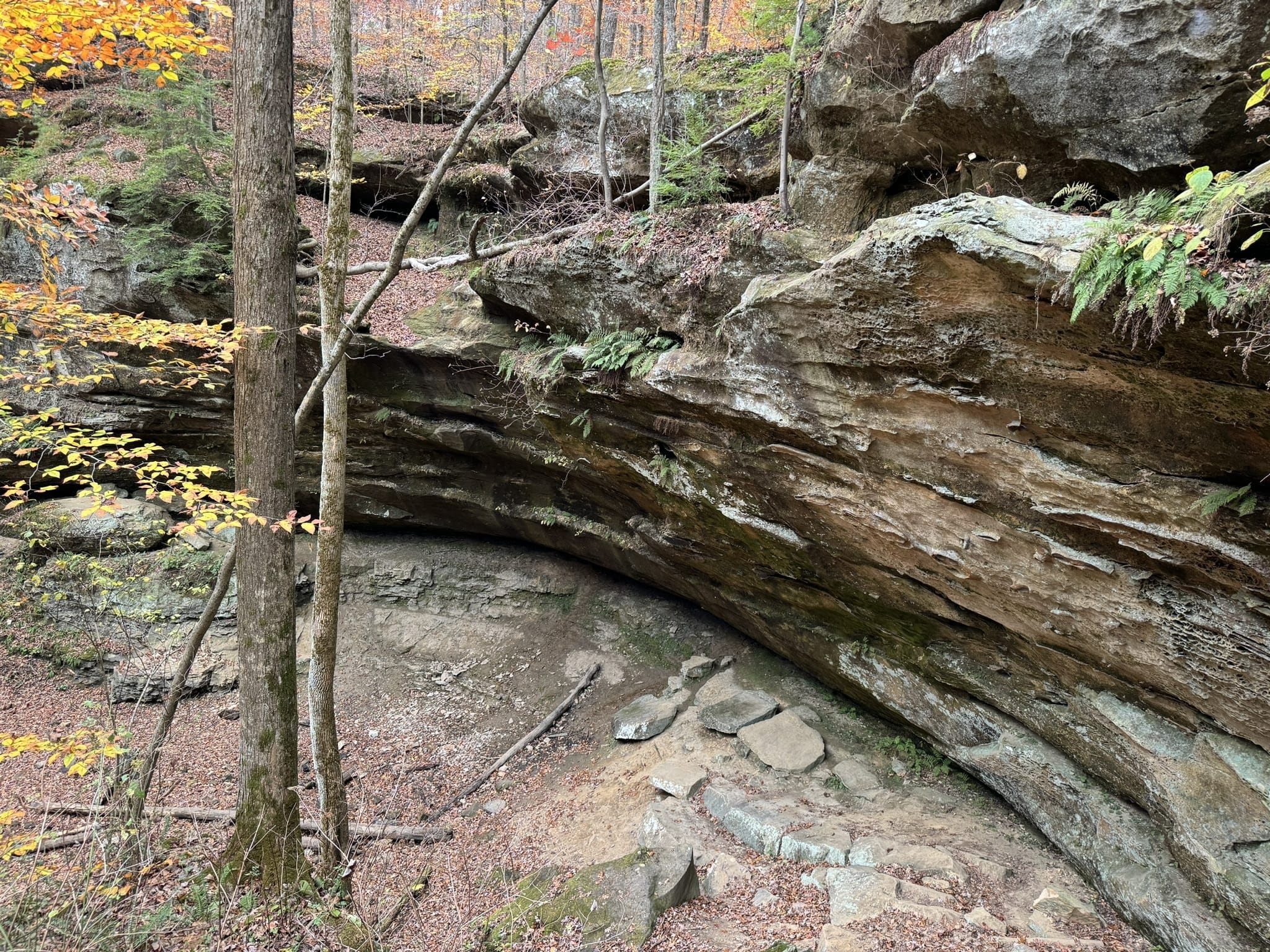 Hemlock cliffs national scenic trail hotsell