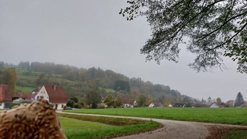 Bergtour Höchsten (Premiumwanderweg)