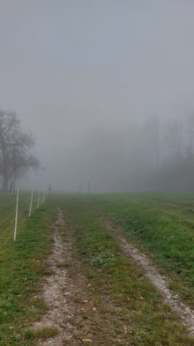 Bergtour Höchsten (Premiumwanderweg)