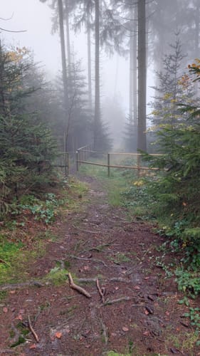 Bergtour Höchsten (Premiumwanderweg)