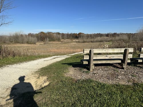 Best hikes and trails in Hampton Hills Mountain Bike Area AllTrails