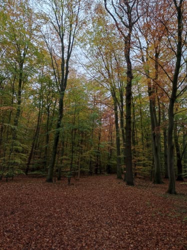 Um den Vierersee bei Bosau