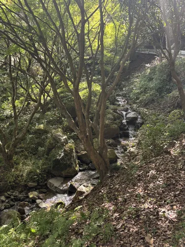 森の滝 森林公園おおくら滝｜スポット｜【公式】飛騨高山旅ガイド｜岐阜