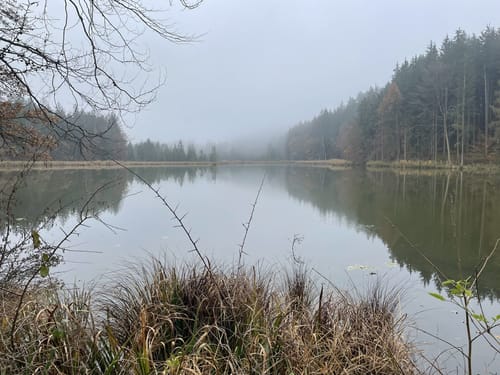 Aueralm und Fockenstein