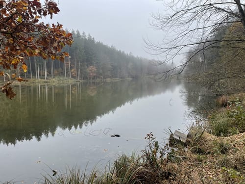 Aueralm und Fockenstein