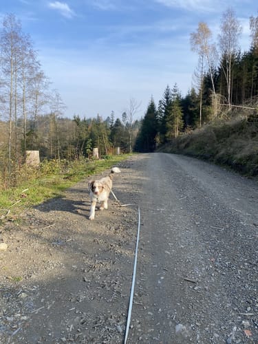 Durch und um Wallenfels