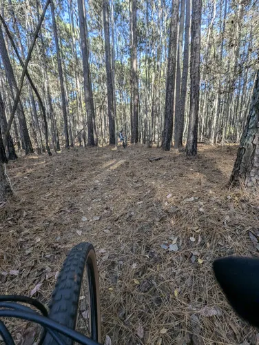 Lake norman state park mountain bike trails sale