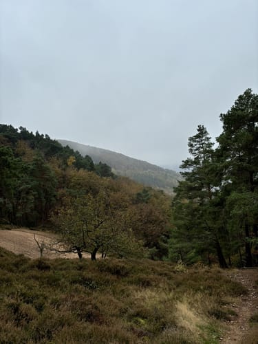 Kreuzau Panorama-Weg West 72