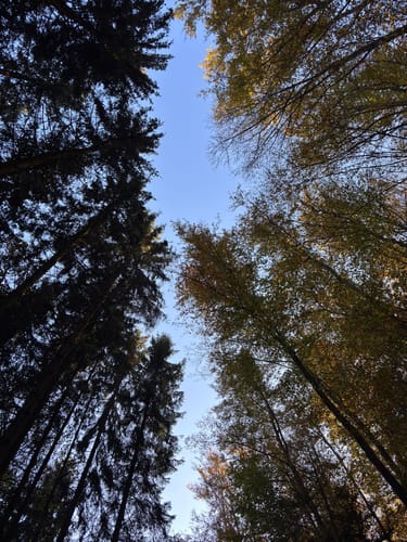 Bermersbach: Heimatweg