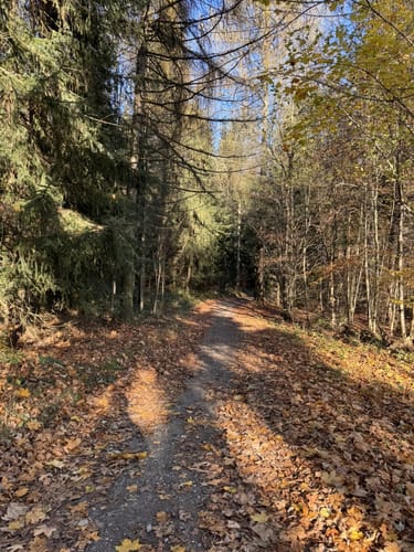 Schwarzenberg im Erzgebirge - Heide