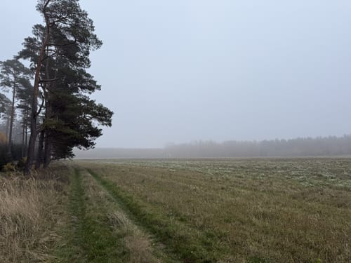 Sparow Runde zum Drewitzer See