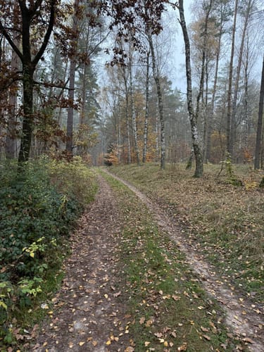 Sparow Runde zum Drewitzer See