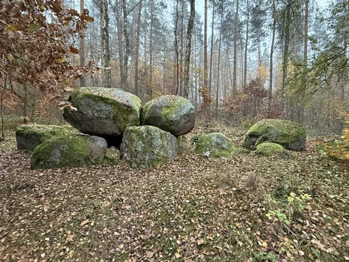 Sparow Runde zum Drewitzer See