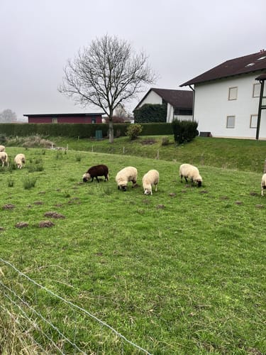 Bad Birnbach - Oberbirnbach Runde