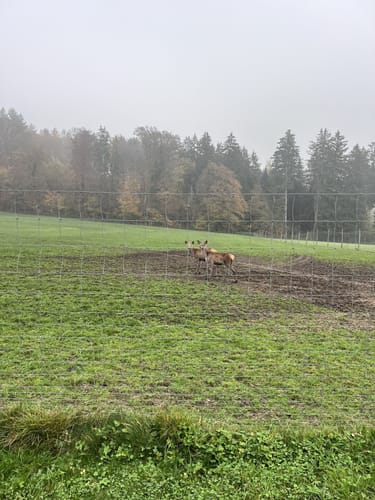 Bad Birnbach - Oberbirnbach Runde