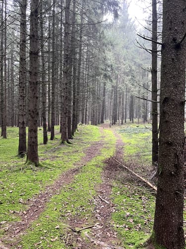 Bad Birnbach - Oberbirnbach Runde