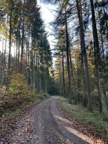 Zum Weyrichsbruch