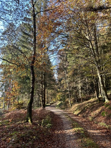 Zum Weyrichsbruch