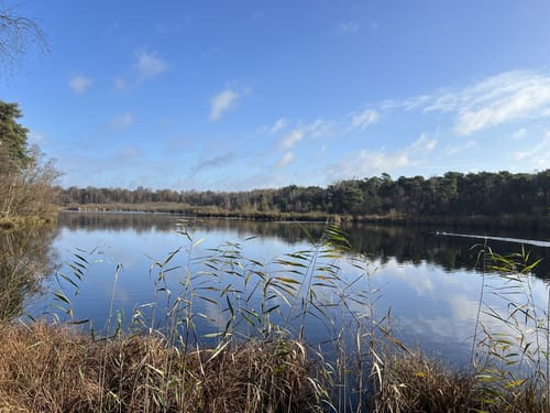 Lüntener Fischteiche